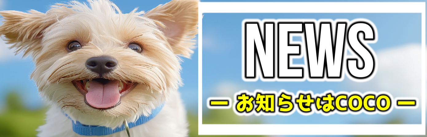NEWS